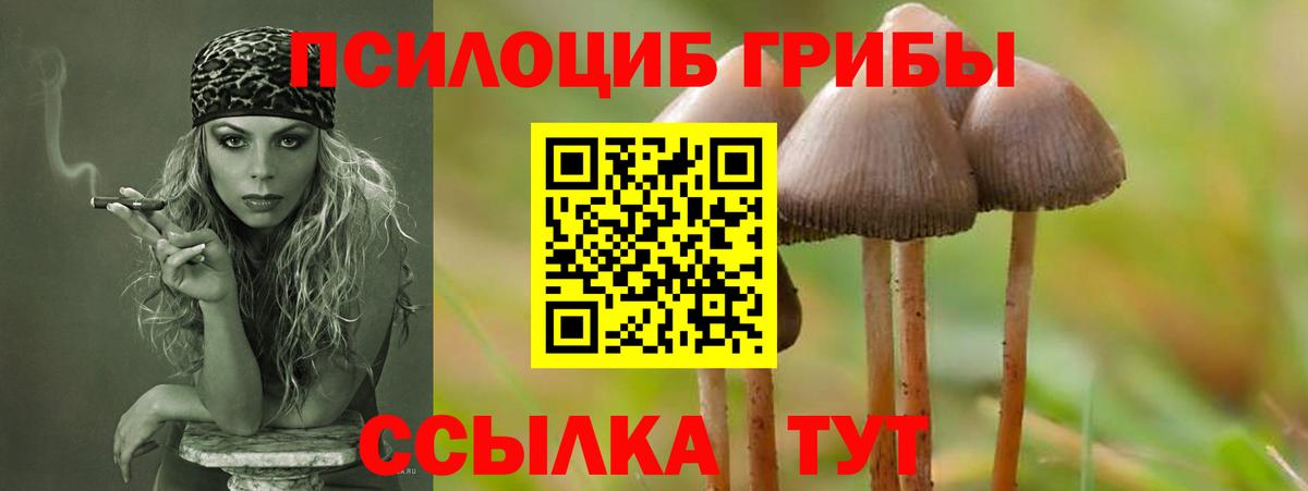 Конаково  Галлюциногенные грибы Psilocybine cubensis  Вход с VPN 